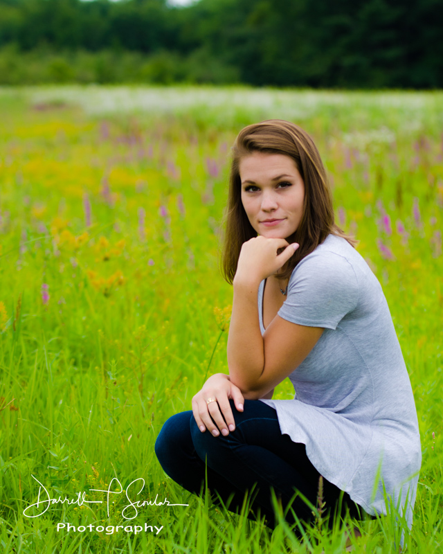 Field of flowers