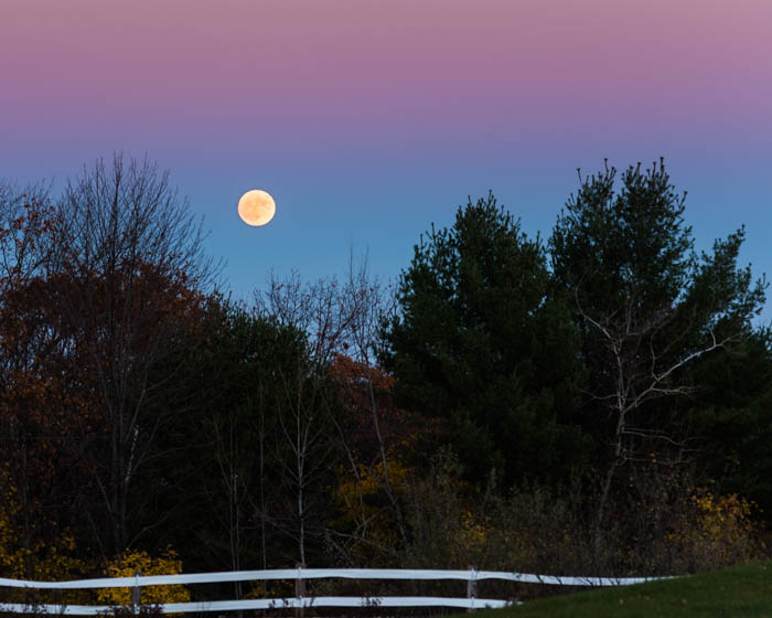 If you look closely, you can see the cow jumping over the moon